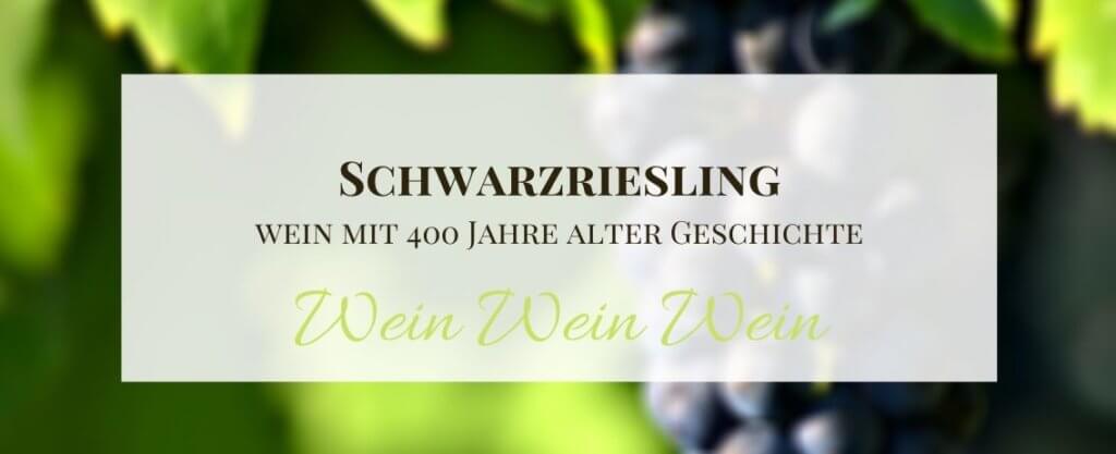 Schwarzriesling